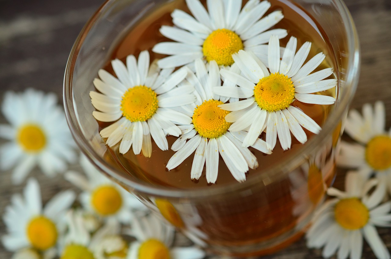 Things You Must Know About Herbal Teas